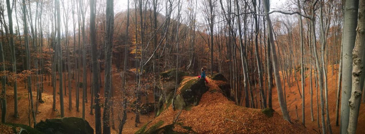 Mountain Lodge Rîşnov Esterno foto