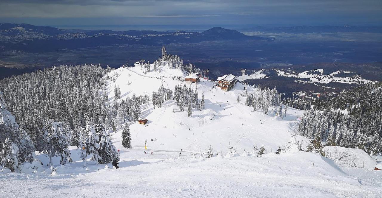 Mountain Lodge Rîşnov Esterno foto
