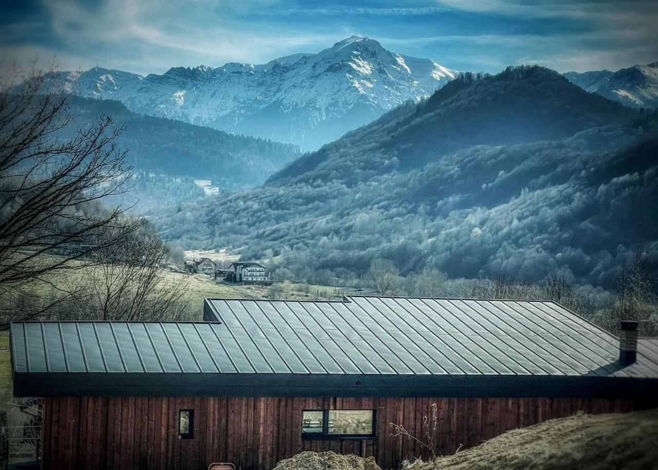 Mountain Lodge Rîşnov Esterno foto